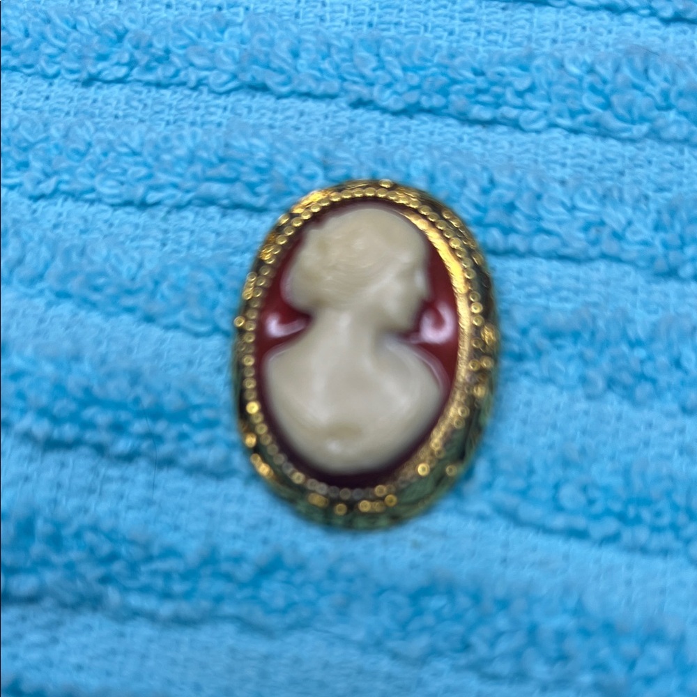 Elegant Gold and Red Cameo Brooch